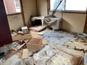 床に家財が散乱した猫屋敷の和室（遺品整理前）